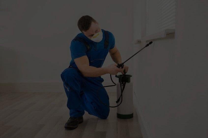 A professional exterminator performs a detailed treatment to eliminate the cause of bed bug bites and rashes.