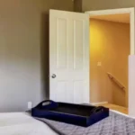 BED BUG TREATMENTS