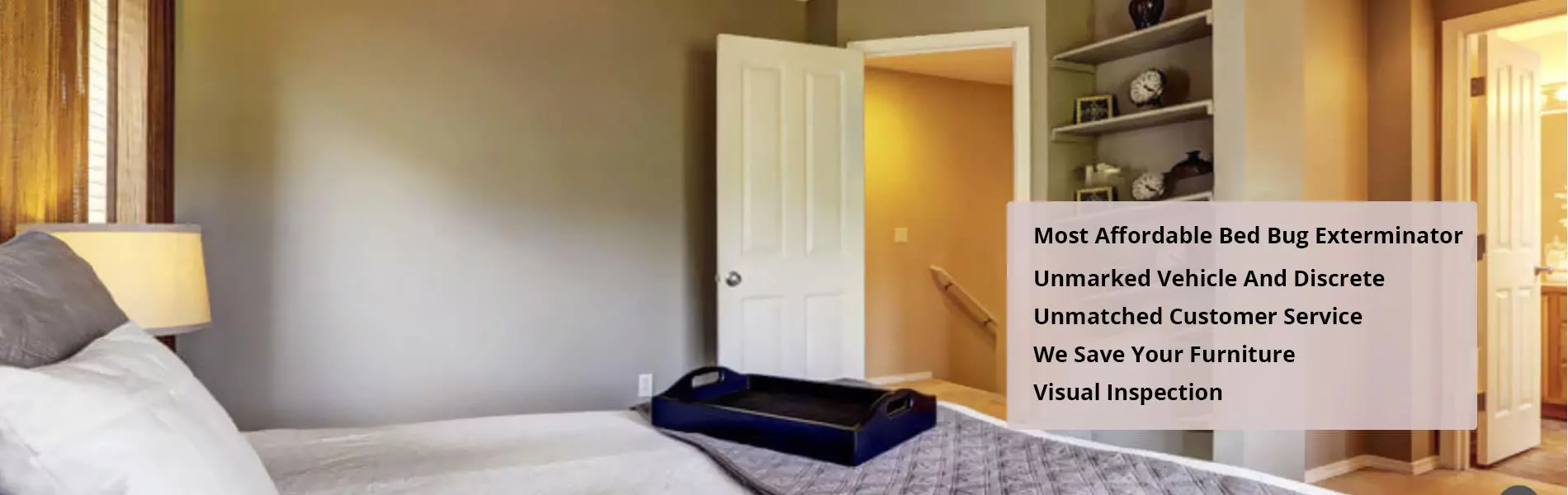 Milwaukee Bed Bug Exterminator