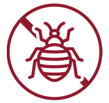 Affordable Bed Bug Exterminator Logo