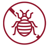 Affordable Bed Bug Exterminator Logo