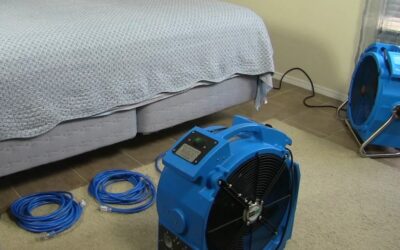 The Truth About Bed Bug Heat Treatment