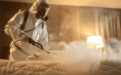 The Secret Life of Bed Bug Exterminators: How They Defeat Pests and Restore Peace!