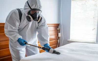 How Much Does a Pest Control Service for Bed Bugs Really Cost?