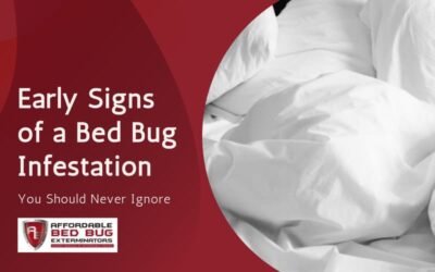 Early Signs of a Bed Bug Infestation You Should Never Ignore