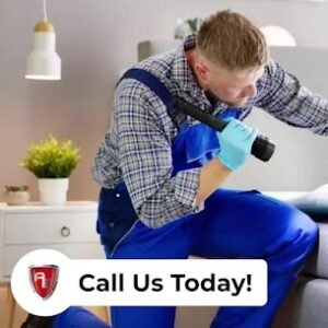 Discreet Bed Bug Treatment 